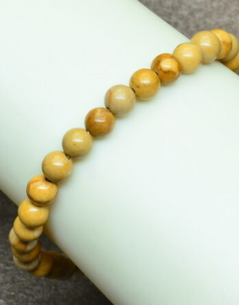 Picture Jasper Bracelet